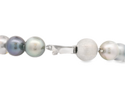 Multi-Color Tahitian Pearl Bracelet