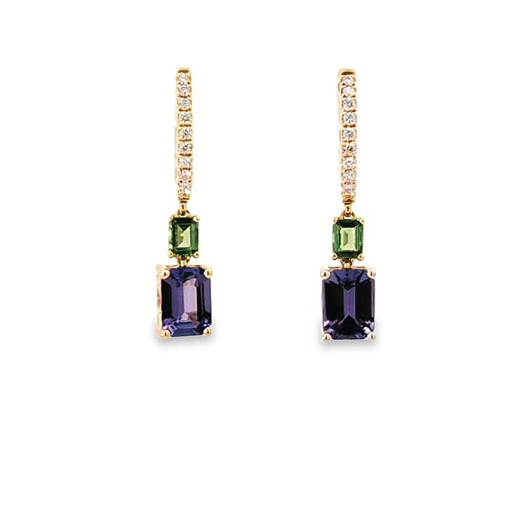 TSAVORITE & TANZANITE HOOP EARRINGS