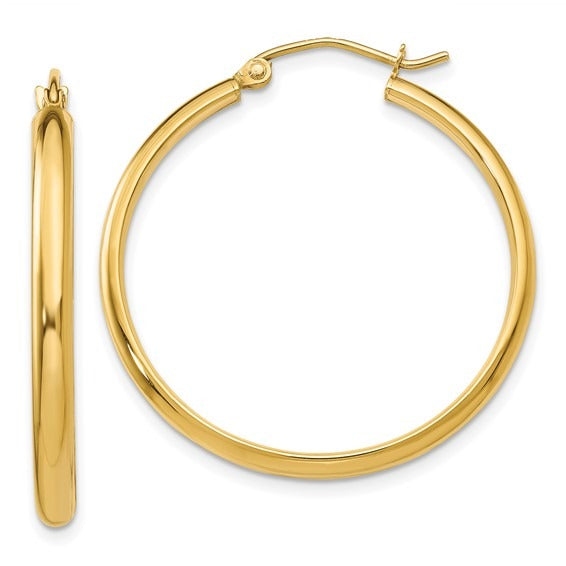 Gold Hoop Earring