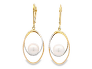 Two Tone Pearl Dangle Earrings