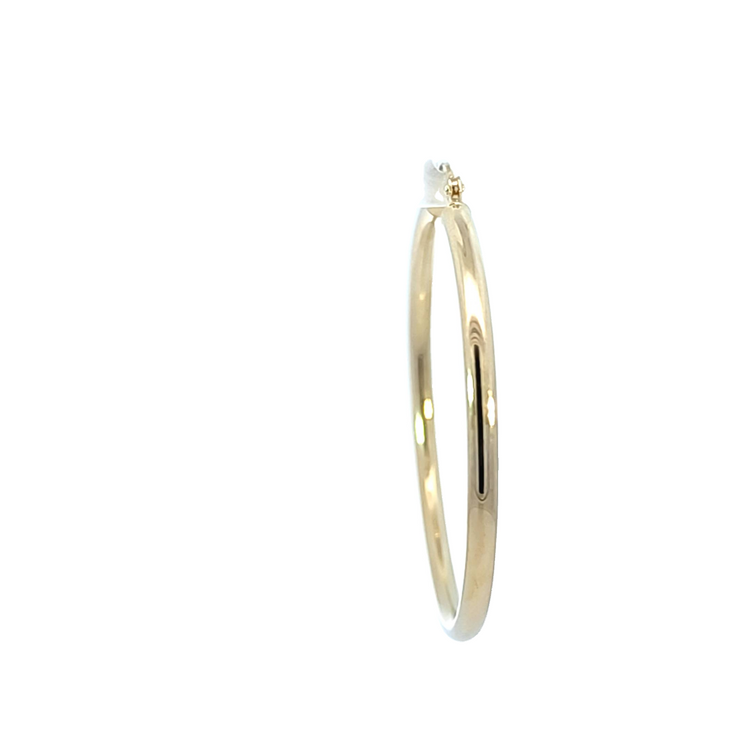 Gold Hoop Earring