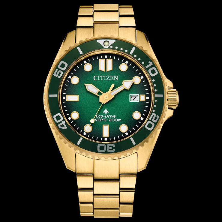 Citizen - Promaster Dive