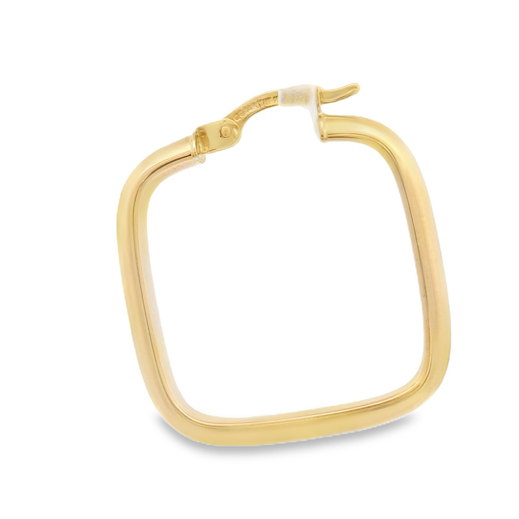 Gold Hoop Earring
