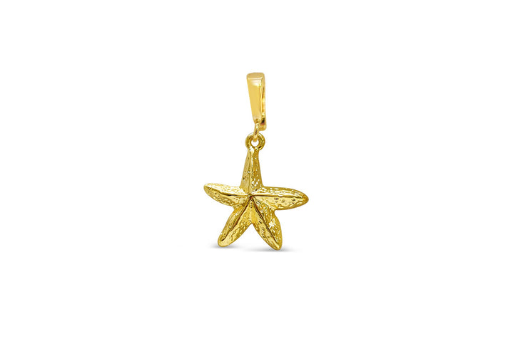CHARM ERA - Rugged Starfish - Gold