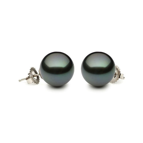 11-11.5mm Tahitian Pearl Stud Earrings