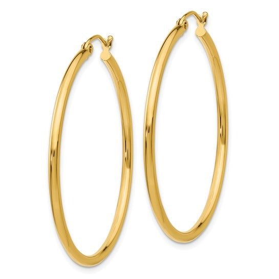 Gold Hoop Earring