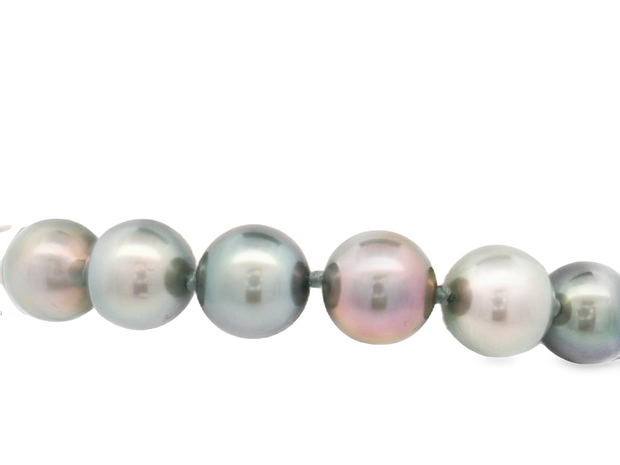 Multi-Color Tahitian Pearl Bracelet