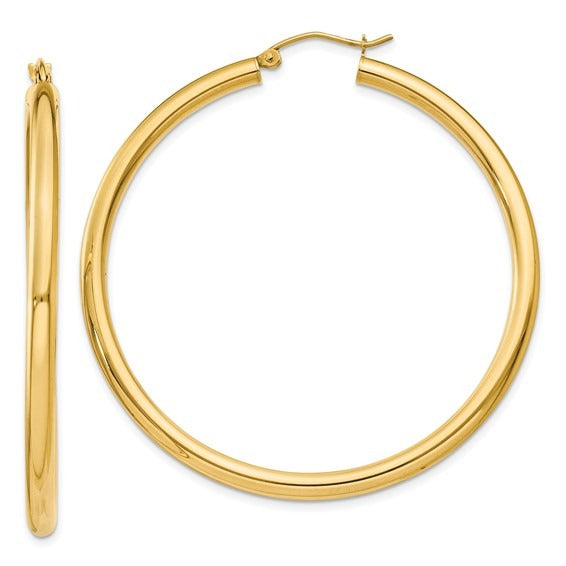 Gold Hoop Earring