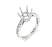 Ring Mounting